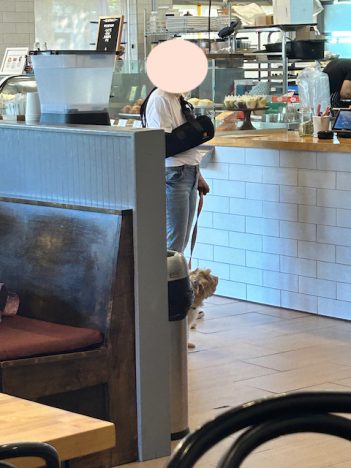 cute little dog in a coffee shop...but the shop owner should be able to restrict pets!