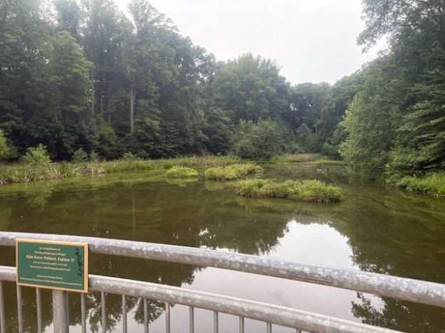 Brookfield Park wet pond is stormwater management