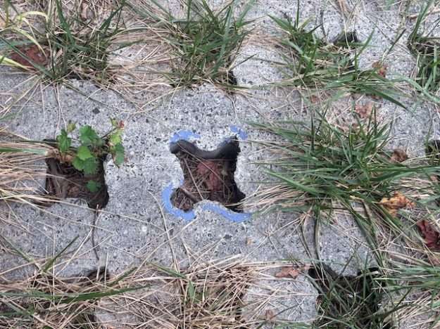 Porous pavement (Grasscrete) at Brookfield Park