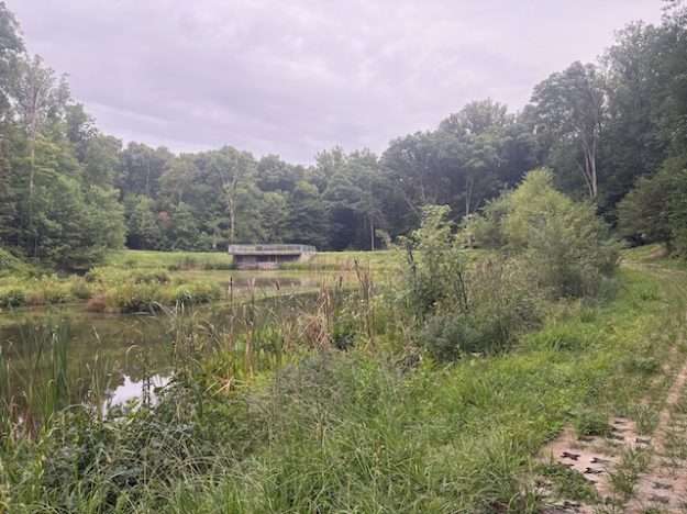 Brookfield Park in Fairfax County, VA